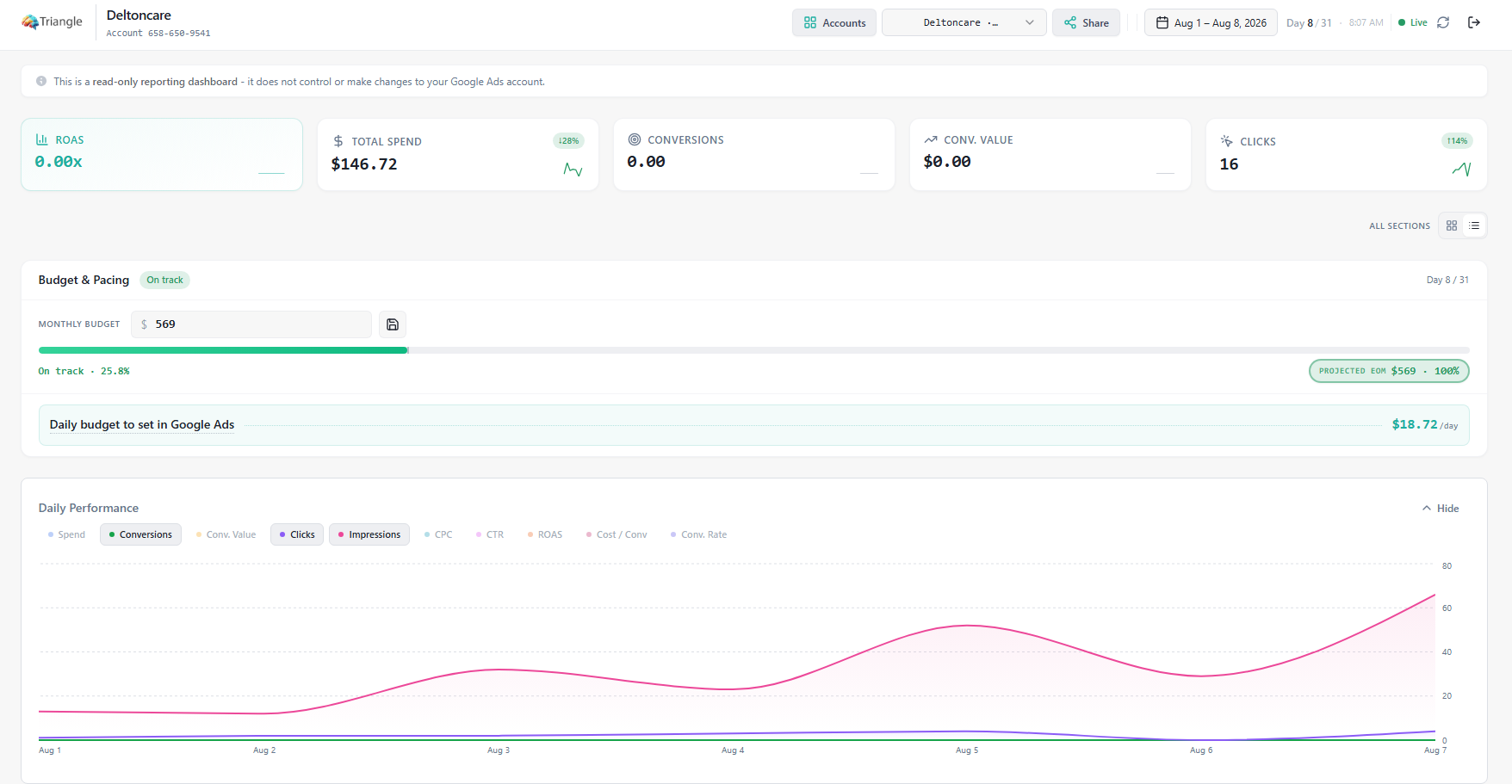 Triangle Dashboard overview showing live Google Ads performance data